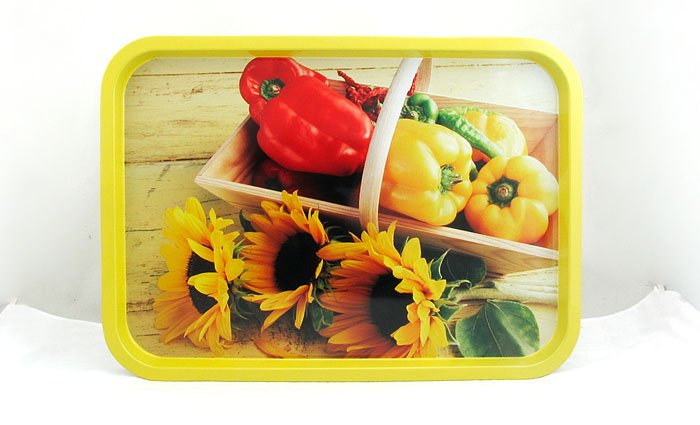 rectangular metal tin tray